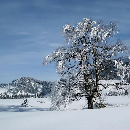 Allgaeu Holzhaus I Bergpanorama & Pur Im Herzen Des Allgaeus! 펜션 바이트나우