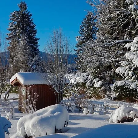 Allgaeu Holzhaus I Bergpanorama & Pur Im Herzen Des Allgaeus! 펜션 *