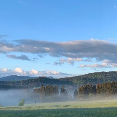 Allgaeu Holzhaus I Bergpanorama & Pur Im Herzen Des Allgaeus! 펜션 바이트나우