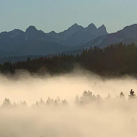 펜션 Allgaeu Holzhaus I Bergpanorama & Pur Im Herzen Des Allgaeus! *