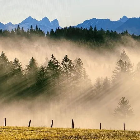 펜션 Allgaeu Holzhaus I Bergpanorama & Pur Im Herzen Des Allgaeus! *