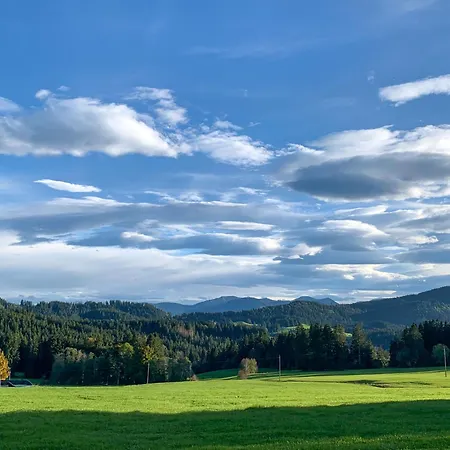 펜션 Allgaeu Holzhaus I Bergpanorama & Pur Im Herzen Des Allgaeus!