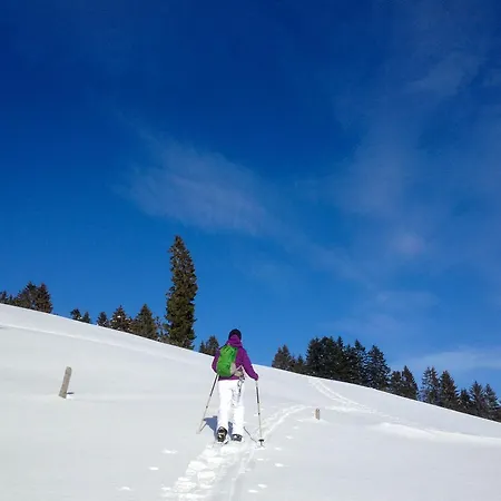 Allgaeu Holzhaus I Bergpanorama & Pur Im Herzen Des Allgaeus! *