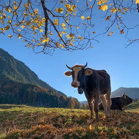 Allgaeu Holzhaus I Bergpanorama & Pur Im Herzen Des Allgaeus! * 바이트나우