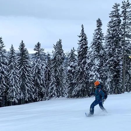 Allgaeu Holzhaus I Bergpanorama & Pur Im Herzen Des Allgaeus!