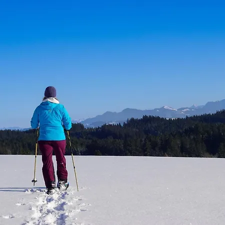 펜션 Allgaeu Holzhaus I Bergpanorama & Pur Im Herzen Des Allgaeus! 바이트나우