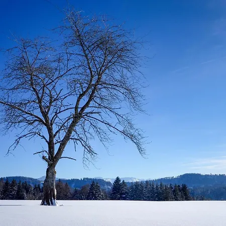 Allgaeu Holzhaus I Bergpanorama & Pur Im Herzen Des Allgaeus! 펜션 *