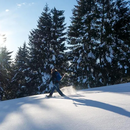 Allgaeu Holzhaus I Bergpanorama & Pur Im Herzen Des Allgaeus! 바이트나우