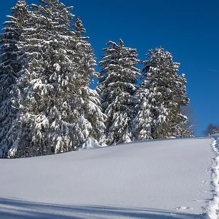 펜션 Allgaeu Holzhaus I Bergpanorama & Pur Im Herzen Des Allgaeus! *