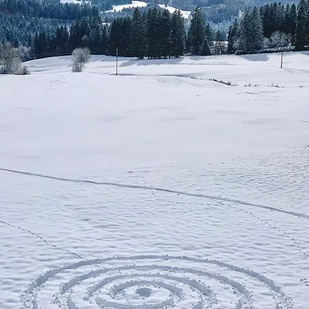 Сasa de vacaciones Allgaeu Holzhaus I Bergpanorama & Pur Im Herzen Des Allgaeus! *