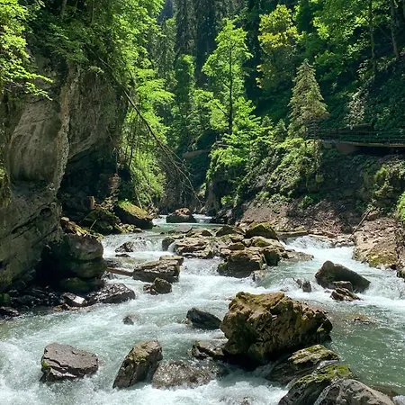 Allgaeu Holzhaus I Bergpanorama & Pur Im Herzen Des Allgaeus! Сasa de vacaciones Weitnau